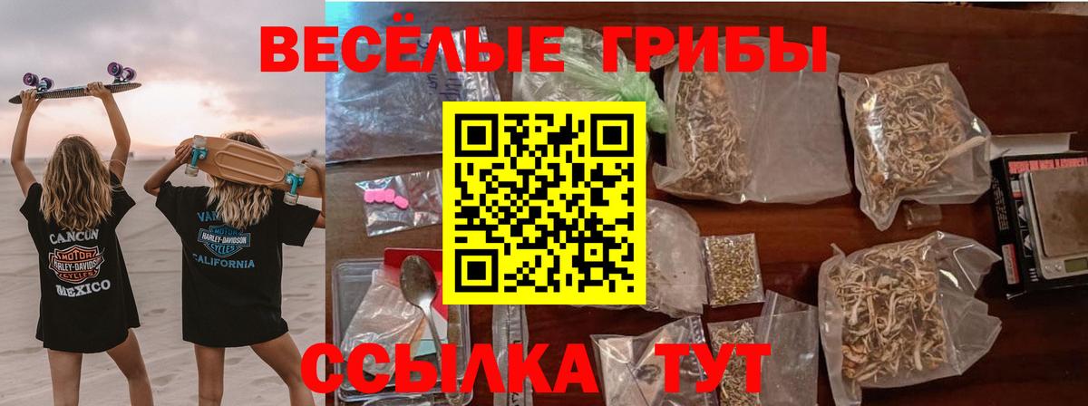 Псилоцибиновые грибы GOLDEN TEACHER Скопин