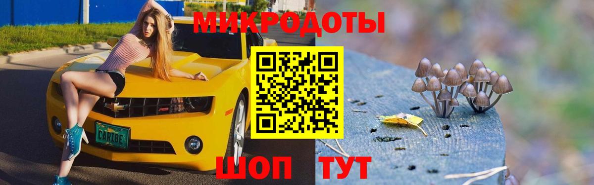 как найти закладки  Вход с VPN  Псилоцибиновые грибы Psilocybine cubensis  Скопин  Псилоцибиновые грибы Magic Shrooms 